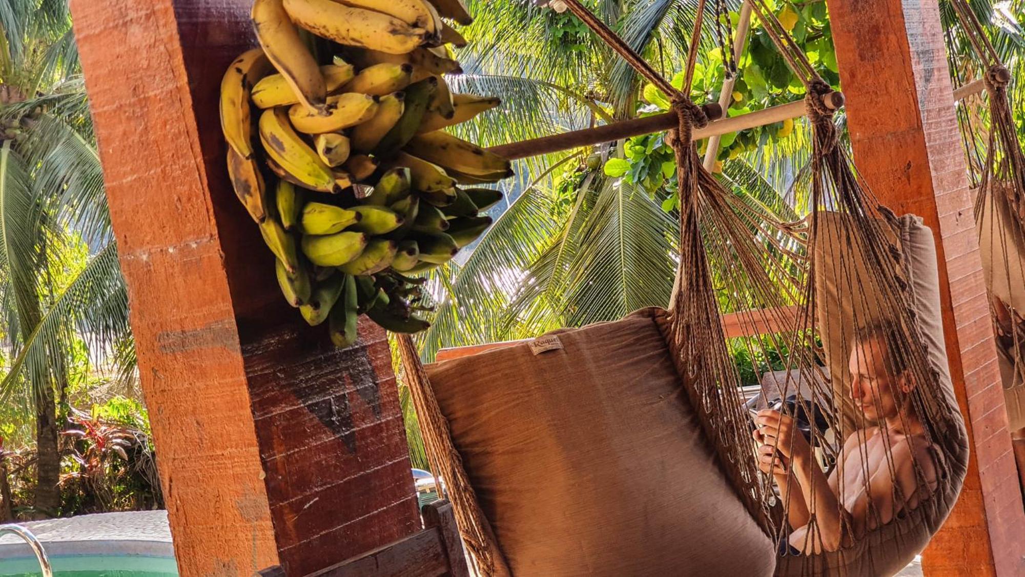 Lobo Hostel - Rurrenabaque (Adults Only) 외부 사진