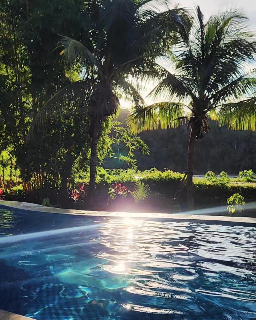 Lobo Hostel - Rurrenabaque (Adults Only) 외부 사진