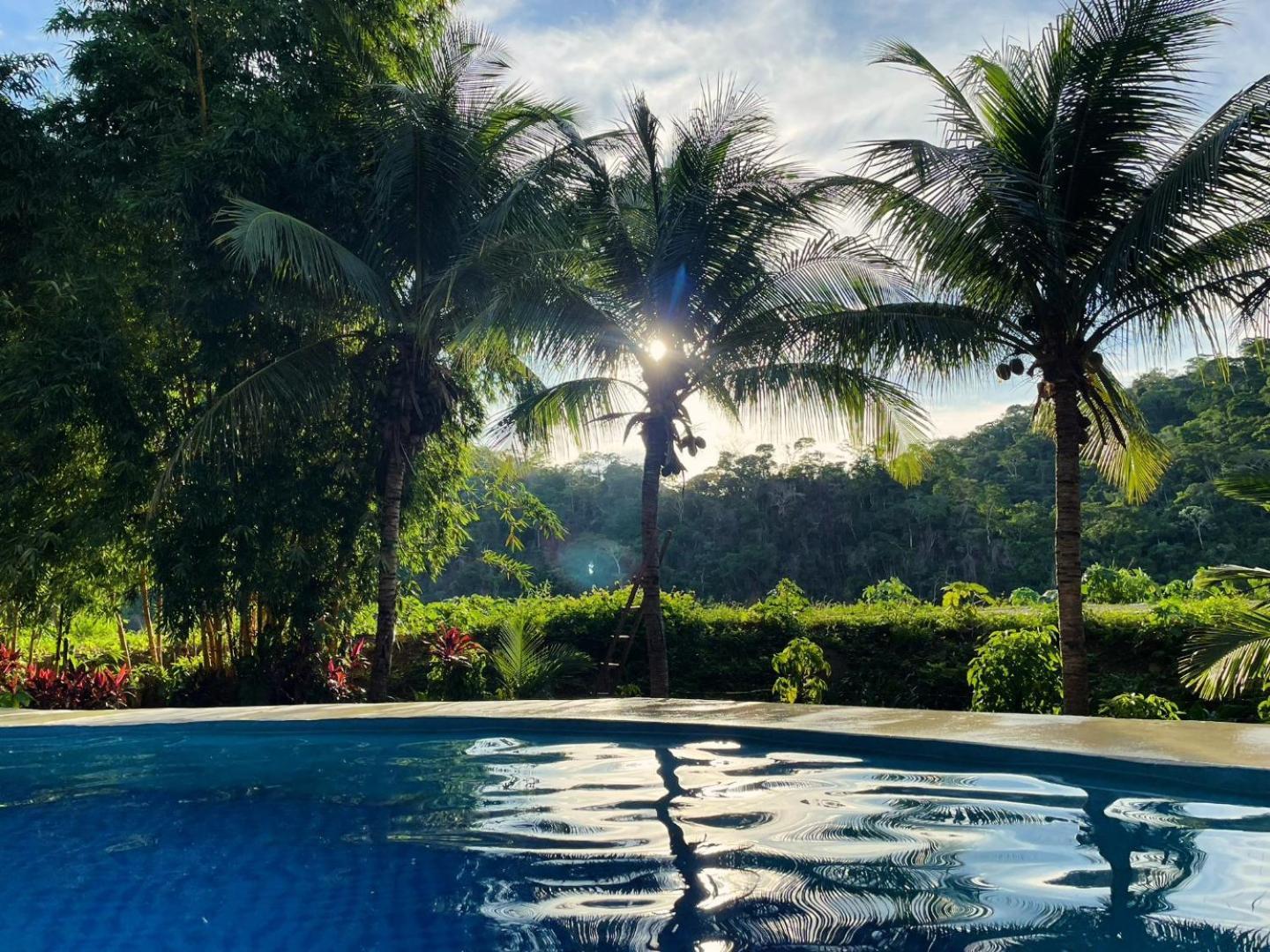 Lobo Hostel - Rurrenabaque (Adults Only) 외부 사진