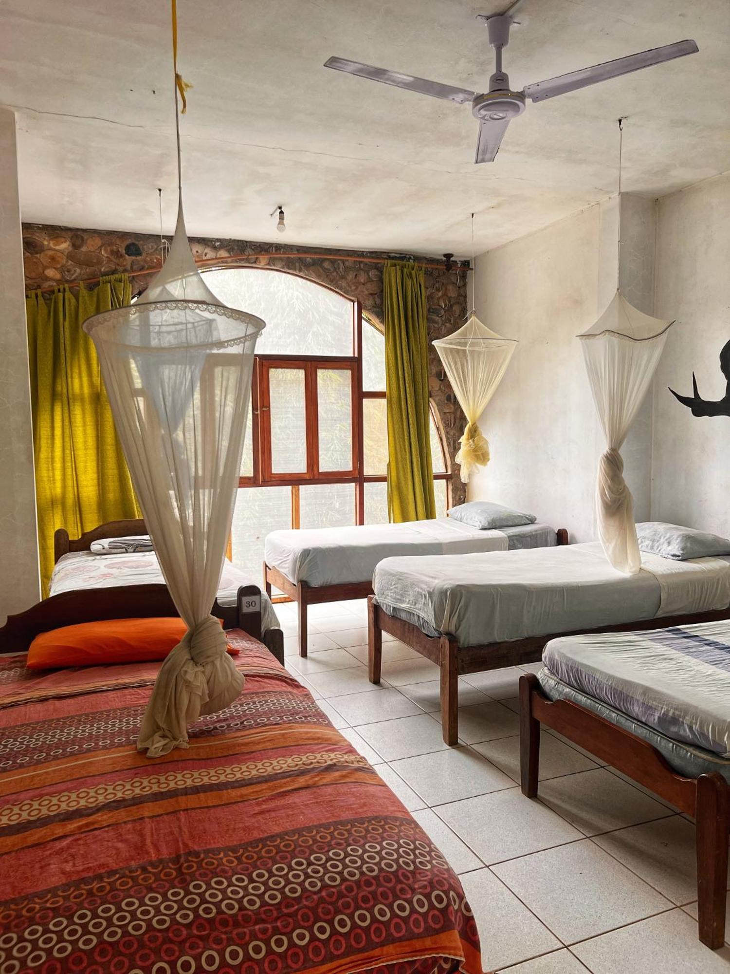 Lobo Hostel - Rurrenabaque (Adults Only) 외부 사진