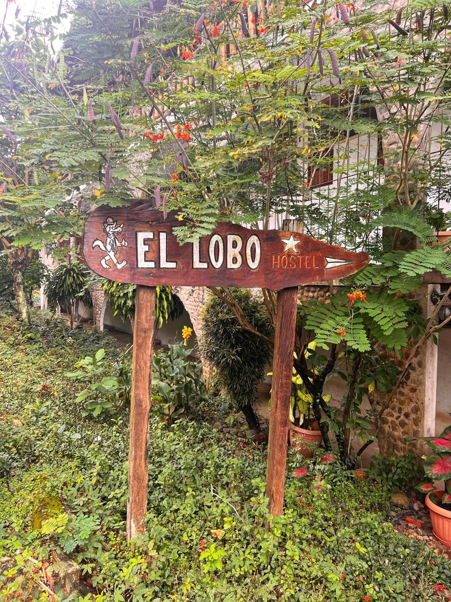 Lobo Hostel - Rurrenabaque (Adults Only) 외부 사진