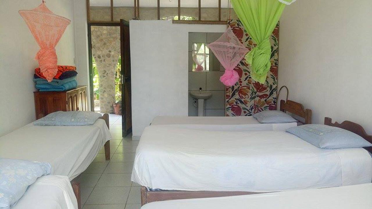 Lobo Hostel - Rurrenabaque (Adults Only) 외부 사진